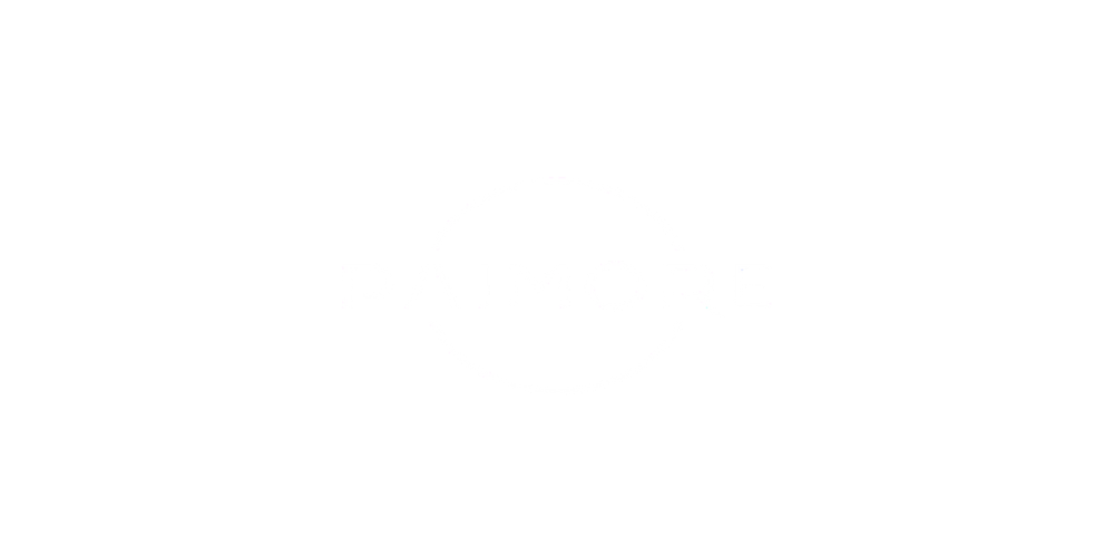 Paimore 로고